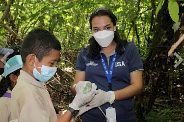 Junto al Ministerio de Ambiente, participamos en la liberación de 50 iguanas en la provincia de Veraguas.