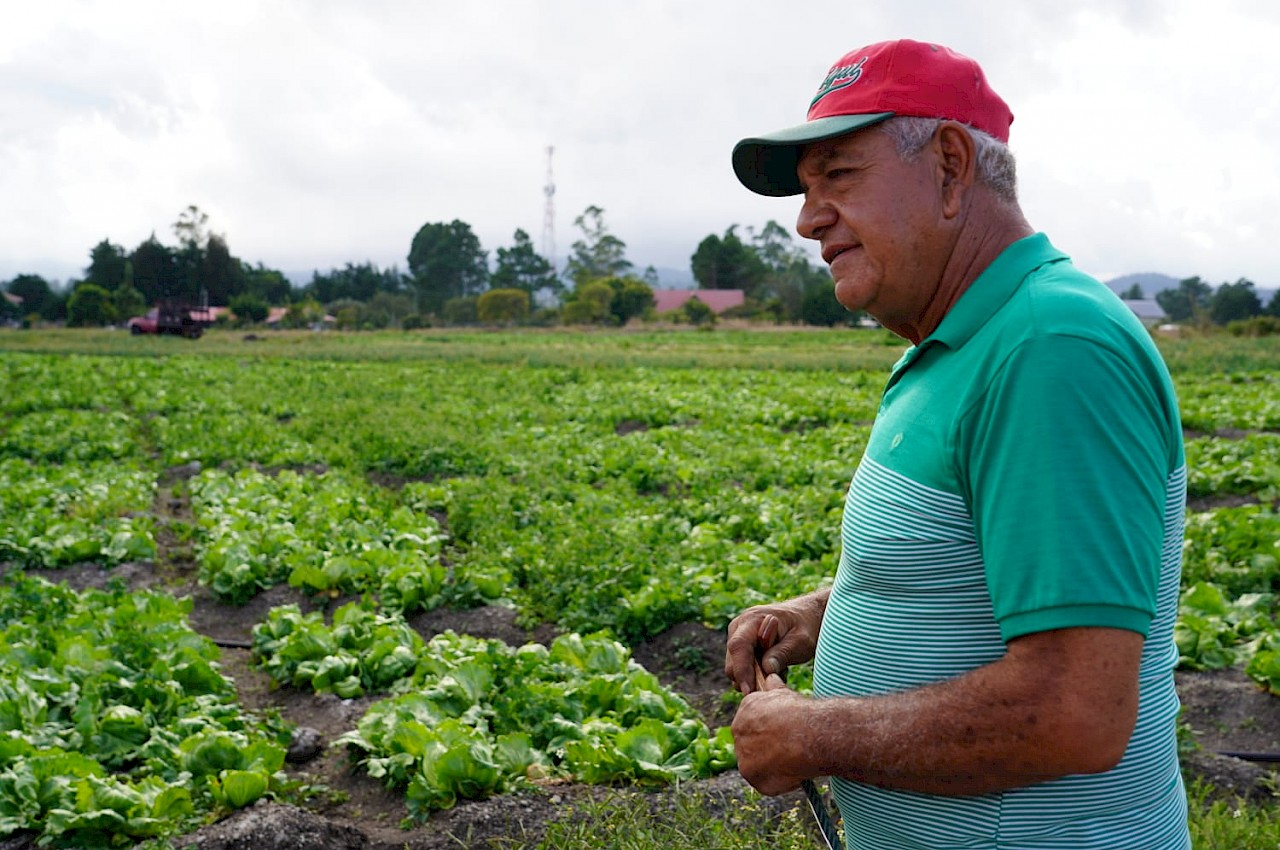 El seguro es fundamental en la agricultura.