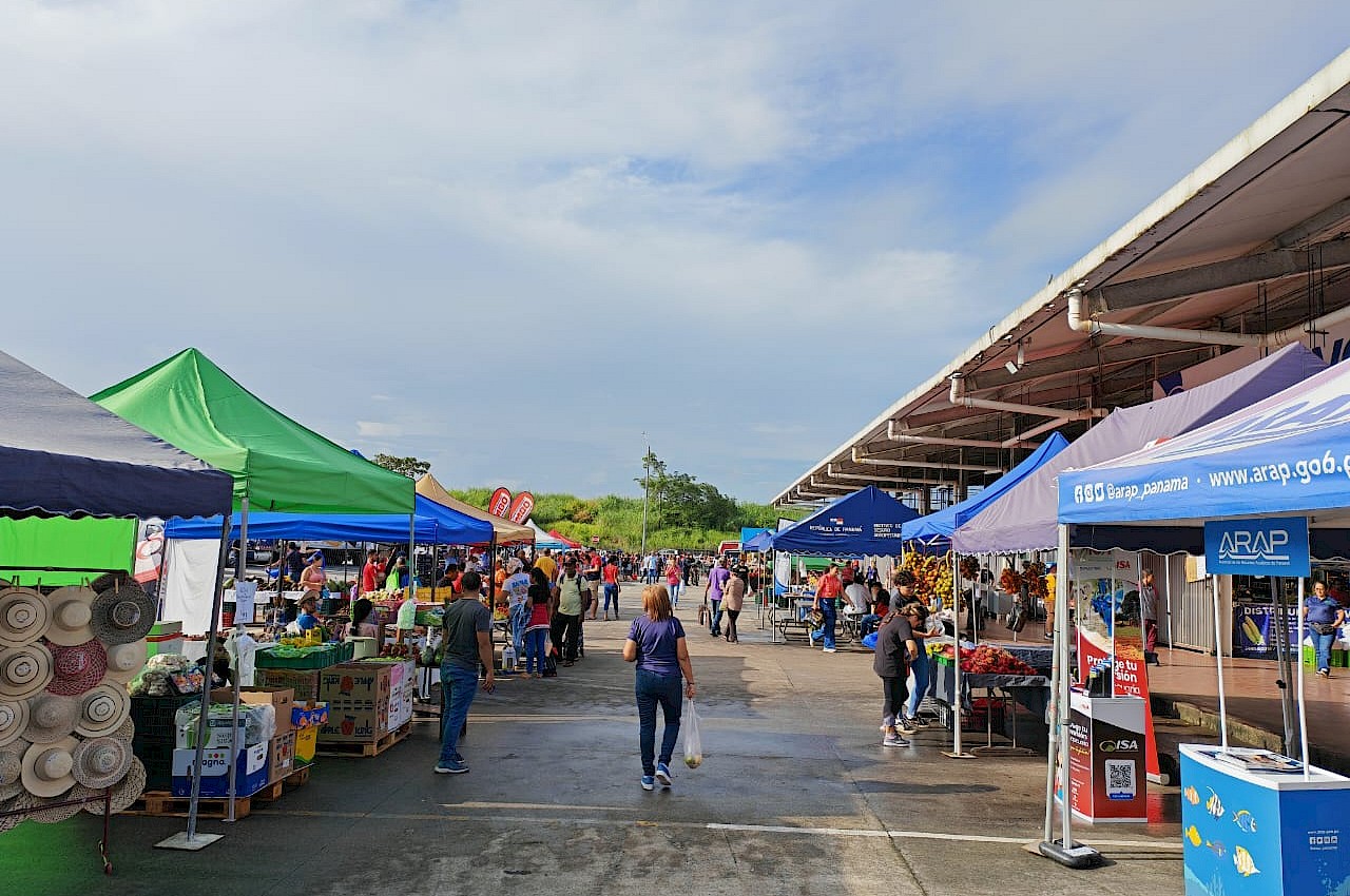 ISA se une a feria de Merca Panamá y brinda información sobre seguros agropecuarios.