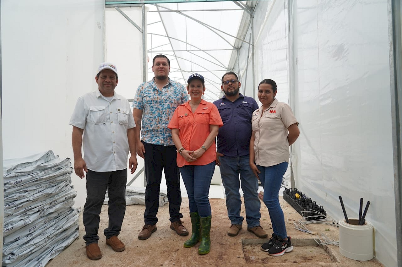 Invernadero para el cultivo de ají asegura su inversión con el ISA