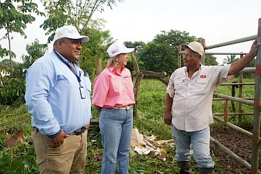 El ISA asegura inversión pecuaria en La Chorrera y Capira