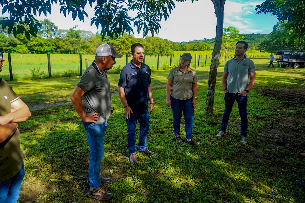 Plan piloto del ISA contra el hurto pecuario se extiende a Chepo