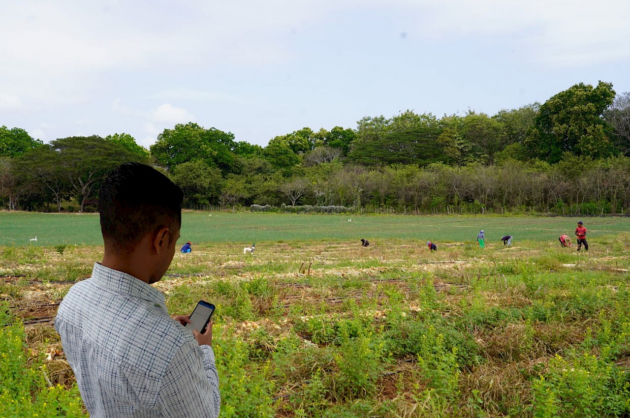 Productores podrán pagar sus pólizas del ISA con Yappy.