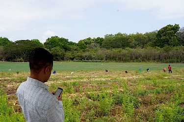 Productores podrán pagar sus pólizas del ISA con Yappy.