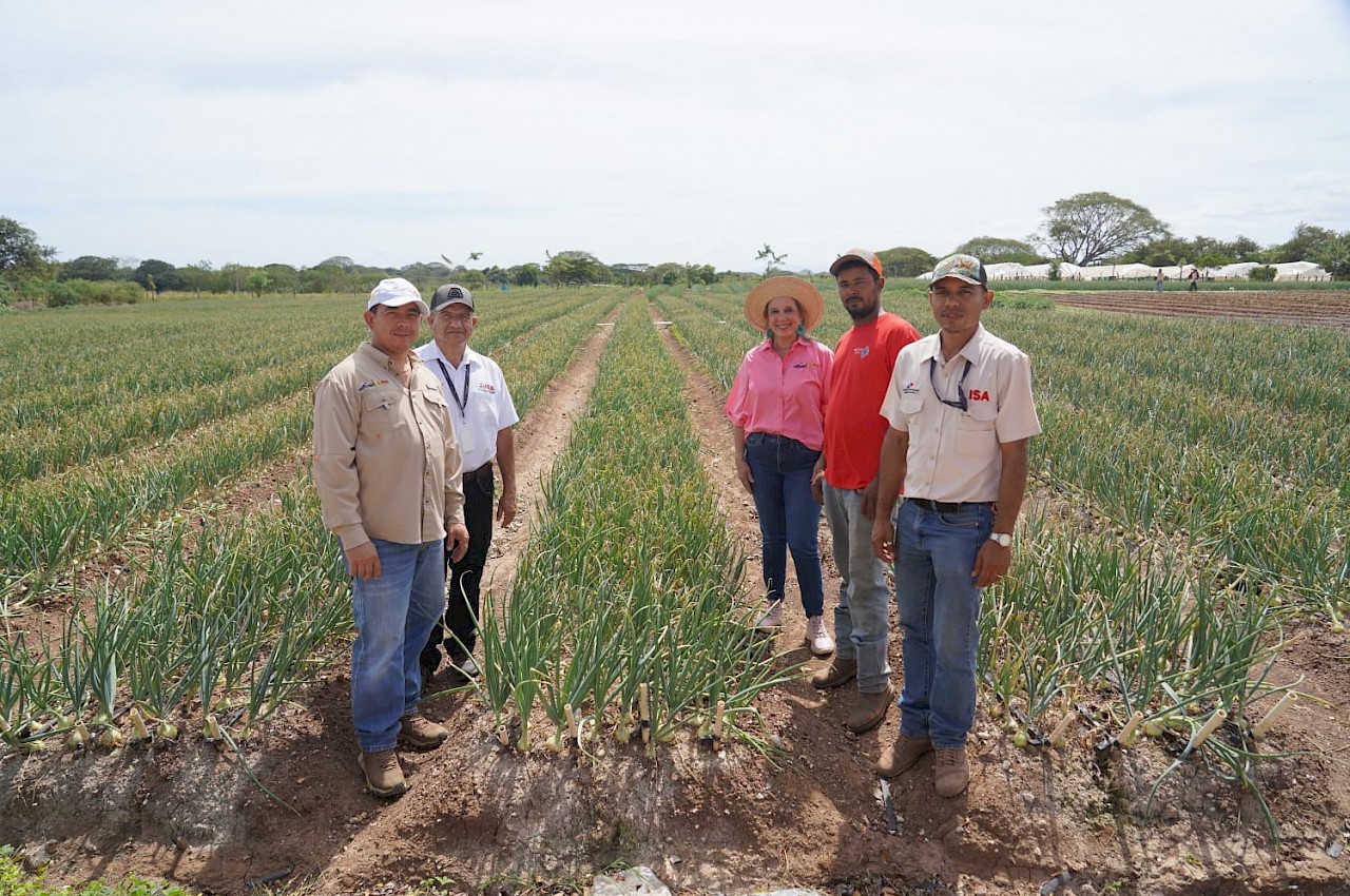 ISA fortalece su presencia en el campo con visitas a productores en la provincia de Herrera.