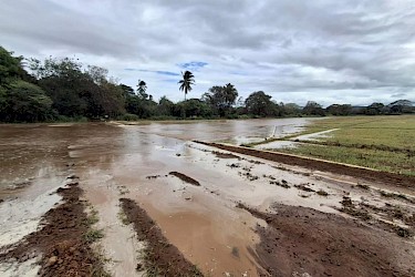 Productores asegurados con el ISA recibirán indemnizaciones tras afectaciones por recientes lluvias.