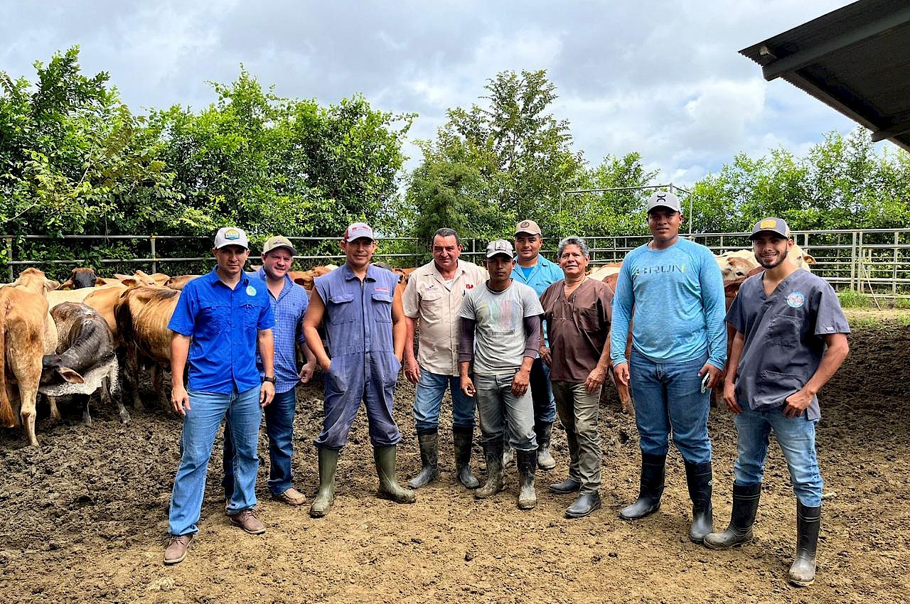 Avance exitoso arroja programa de transferencia de embriones asegurados con el ISA.