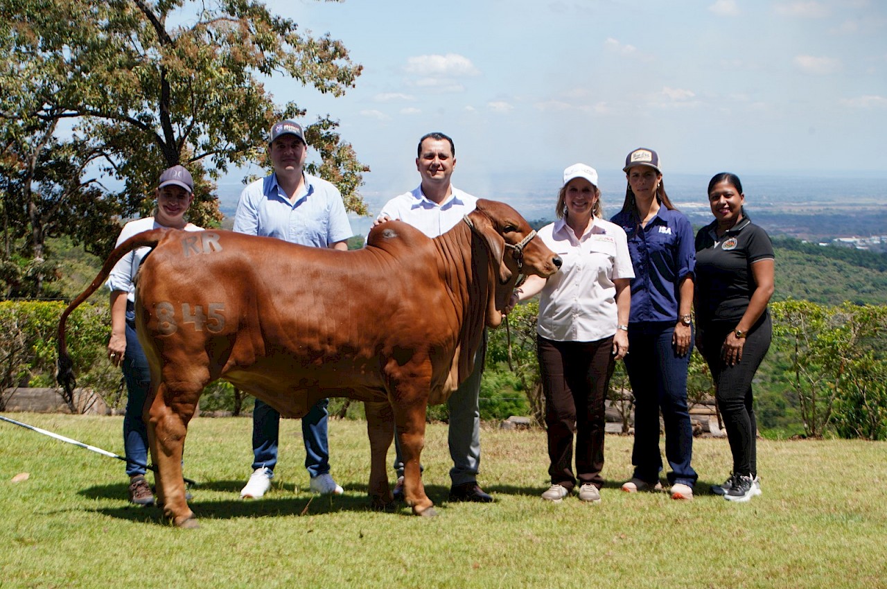 Finca pecuaria asegurada por el ISA en Cerro Azul recibe visita de la subgerente general.