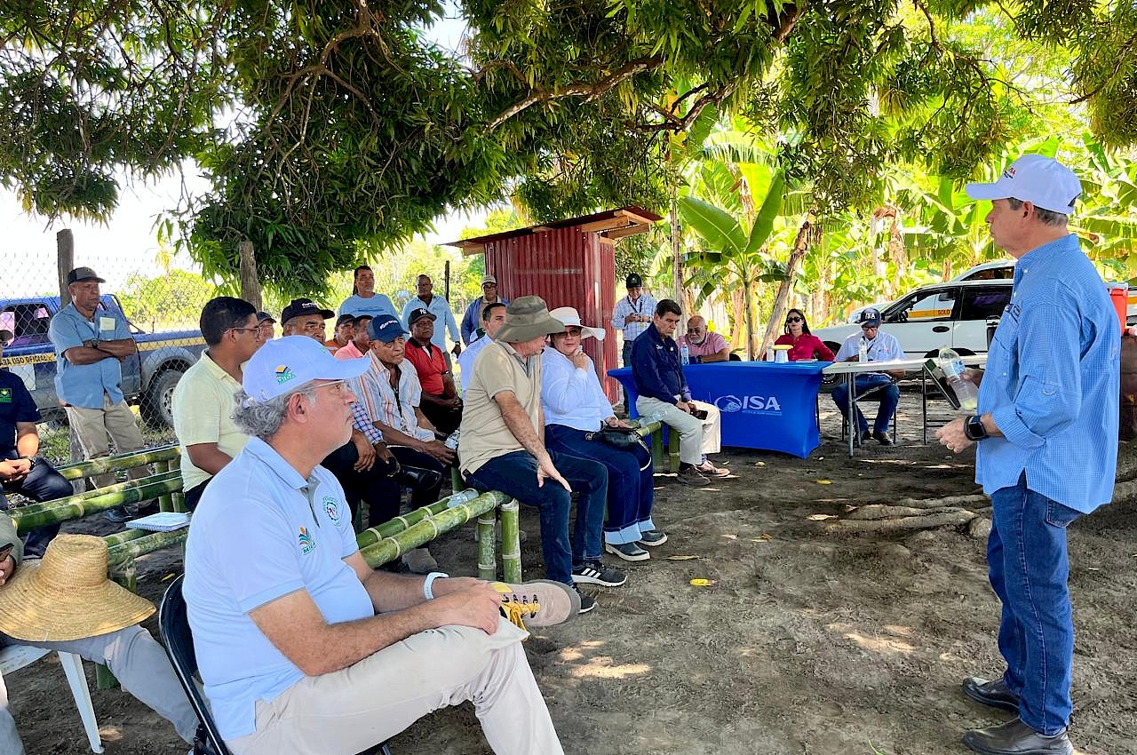 ISA participa en capacitación a productores de arroz ante el inicio del ciclo agrícola.