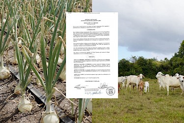 Publican en Gaceta Oficial nuevos manuales Agrícola y Pecuario del ISA.