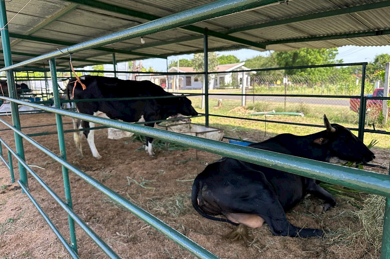 ISA participa en la Feria Nacional del Ganado Lechero